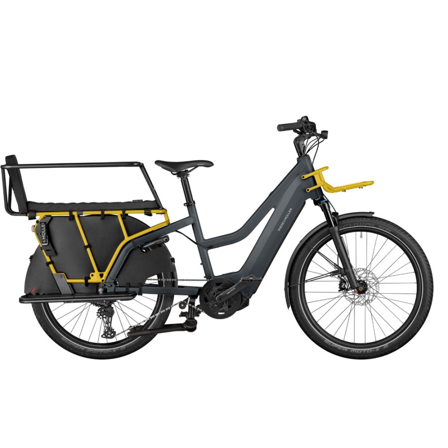 RIESE & MULLER Multicharger2 Mixte GT Family grey/curry matt