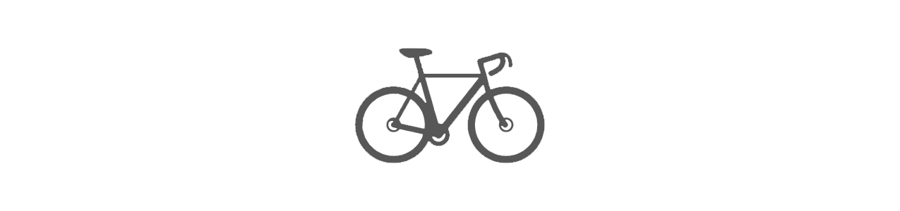 biciclette da ciclocross e bici gravel